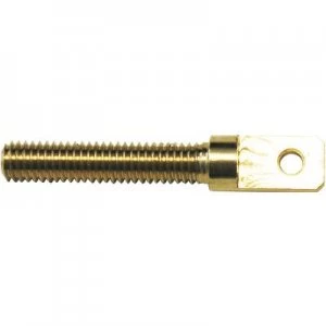 Image of Modelcraft 11589/RM-30 Brass Eye bolt External thread M3 23mm 4 pc(s)