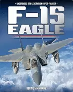 Image of f 15 eagle