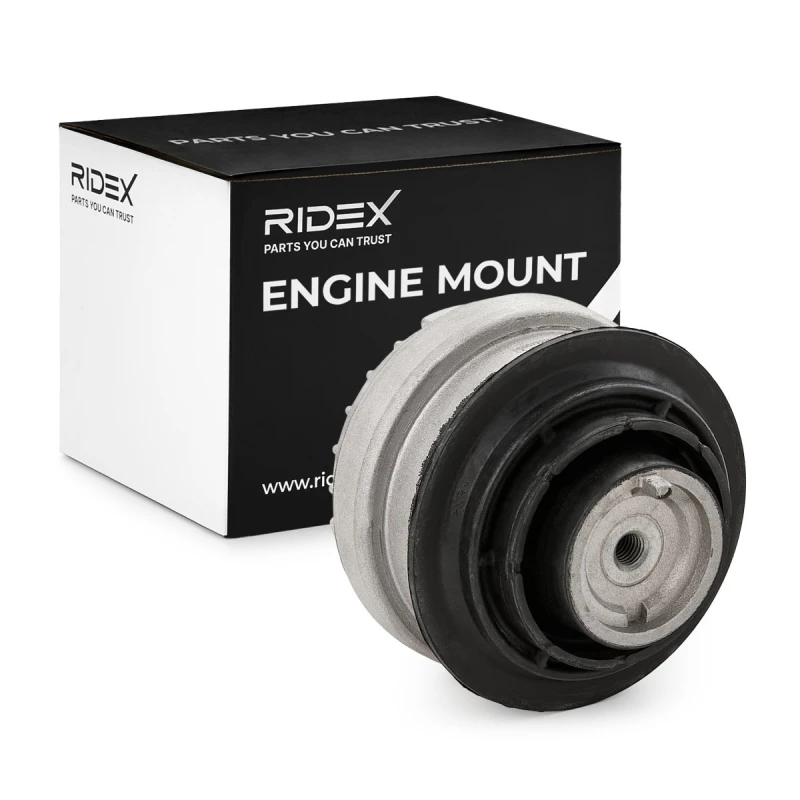 Image of Engine mount RIDEX 247E0359