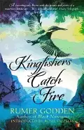 Image of kingfishers catch fire