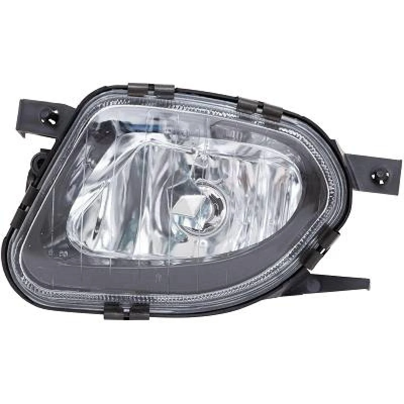Image of Fog Light DIEDERICHS 1615689