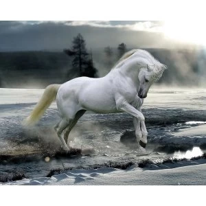 Image of Bob Langrish Horse Snow Mini Poster