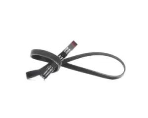 Image of RIDEX V-ribbed belt VW,AUDI,FIAT 305P0042 55556430,028903137AJ,028903137AR 46550322,55556430,71753678,0K55315987,0K55315987,46550322,4356887,7596679