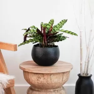 Image of Ivyline Hammered Bowl Black/Copper - 19Cm