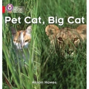 Image of Pet Cat, Big Cat : Band 02a/Red a