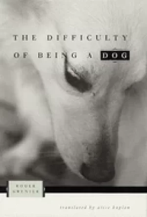 Image of difficulty of being a dog