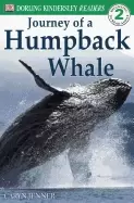 Image of journey of a humpback whale