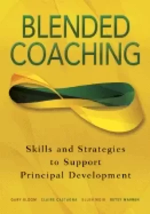 Image of blended coaching skills and strategies to support principal development