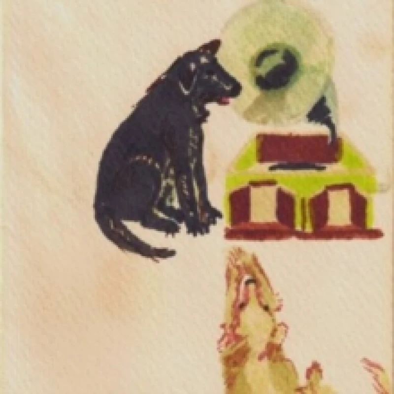 Image of Lucky dog Vinyl