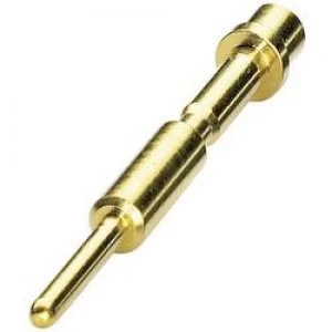 Image of Coninvers 1605554 SF 6AP2000 Gold