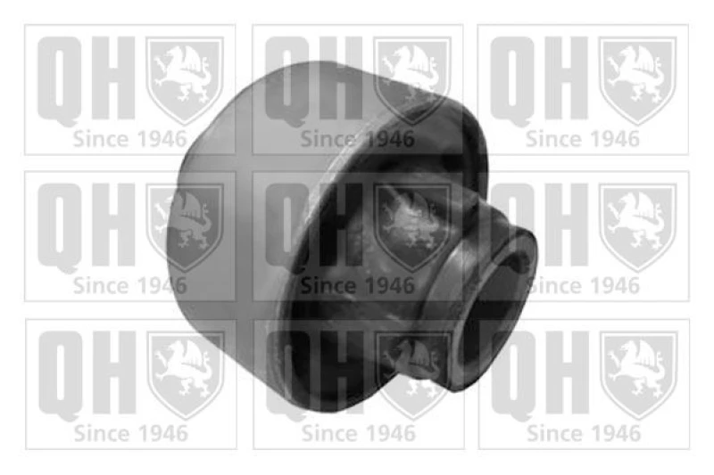 Image of QUINTON HAZELL Trailing arm / Suspension arm bush QUINTON HAZELL EMS8372