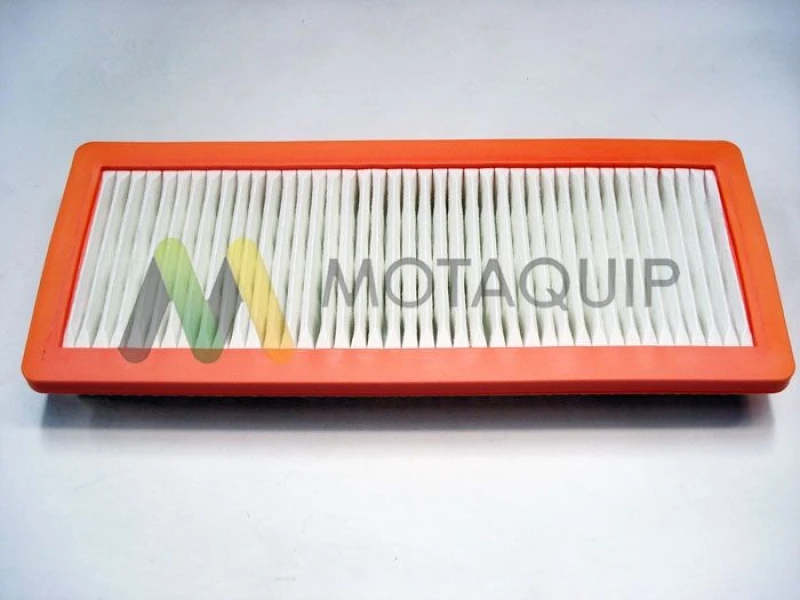 Image of MOTAQUIP Air filter MOTAQUIP LVFA1429