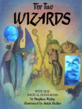 Image of The Two Wizards by Stephen Wyllie and Julek Heller Hardback