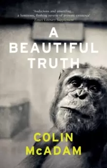 Image of A Beautiful Truth