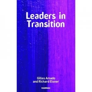 Image of Leaders in Transition by Gilles Amado and Richard Elsner Paperback