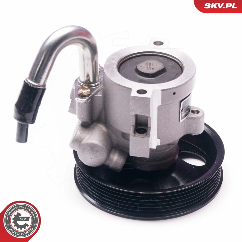 Image of ESEN SKV Power steering pump ESEN SKV 10SKV206