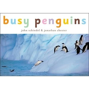 Image of Busy Penguins by Jonathan Chester, John Schindel (Board book, 2000)