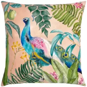 Image of Peacock Outdoor Cushion Blush