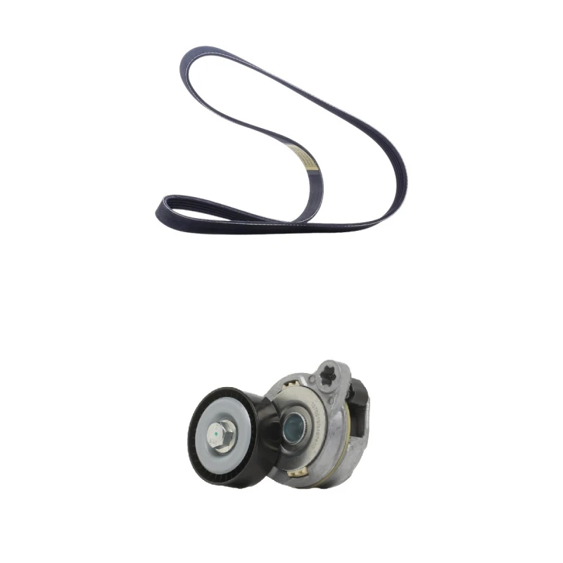 Image of RIDEX 542R0053 V-ribbed belt set V-Ribbed Belt Set (542)