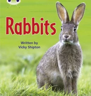 Image of Phonics Bug Non-Fiction Set 27 Rabbits by Vicky Shipton Paperback