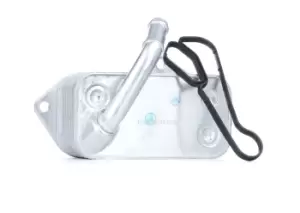 Image of RIDEX Oil Cooler Aluminium 469O0047 Oil Cooler, engine oil BMW,3 Touring (E91),3 Limousine (E90),5 Limousine (E60),5 Touring (E61),5 Touring (F11)