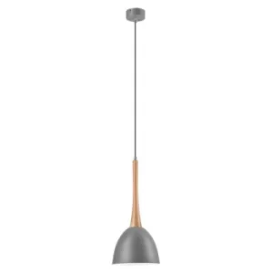 Image of Tulip Dome Pendant Ceiling Lights Silver, 1x E27