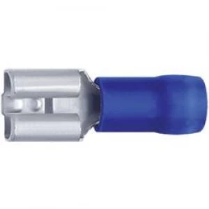 Image of Blade receptacle Connector width 7.7mm Connector thickness 0.8 mm