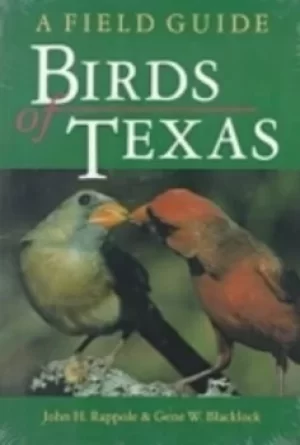 Image of Birds of Texas by John H. Rappole
