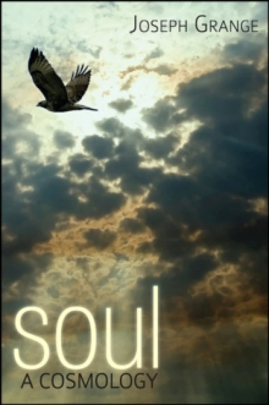 Image of Soul : A Cosmology Paperback / softback