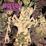 Image of Static Tensions by Kylesa CD Album