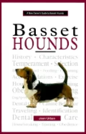 Image of new owners guide to basset hounds
