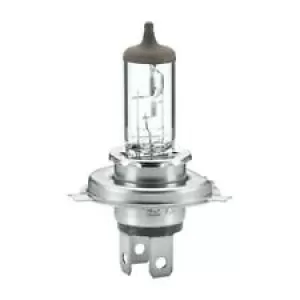 Image of Headlight Bulb HELLA 8GJ 002 525-891