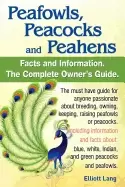 Image of peafowls peacocks and peahens including facts and information about blue wh