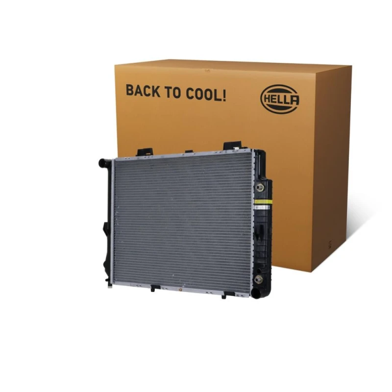 Image of HELLA Engine radiator HELLA 8MK 366 300-501