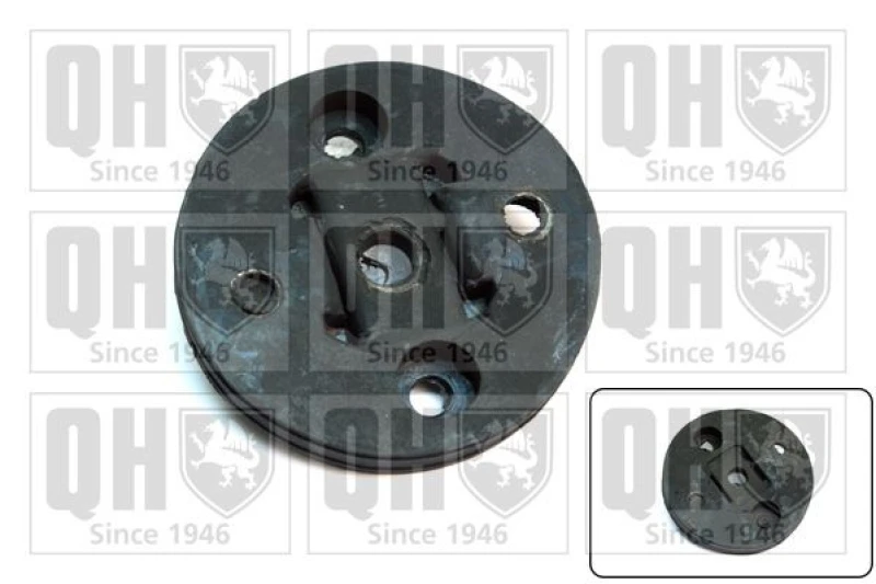 Image of QUINTON HAZELL Steering Column Coupling QUINTON HAZELL EMD1630