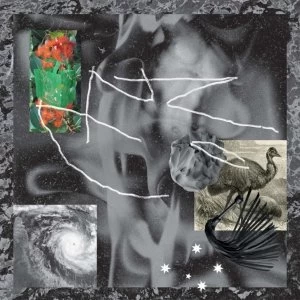 Image of No Zu &lrm;- Afterlife Vinyl