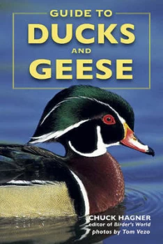 Image of Guide to Ducks and Geese by Chuck Hagner Paperback