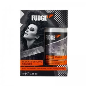 image of Fudge Elevate Styling Powder 10g