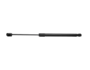 Image of RIDEX Tailgate strut JEEP 219G0897 5054353AB