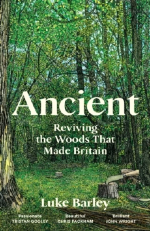 Image of Ancient : Reviving the Woods that Made Britain Hardback