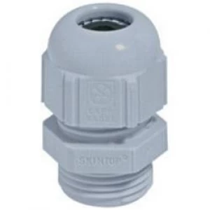 Cable gland PG21 Polyamide Light grey RAL 7035