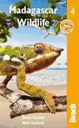 Image of madagascar wildlife