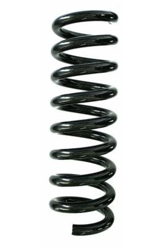 Image of Coil spring SPIDAN 87396