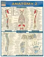 Image of anatomy 2
