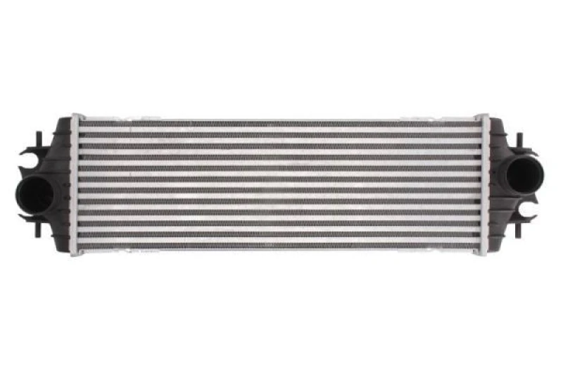 Image of THERMOTEC Intercooler THERMOTEC DAR009TT