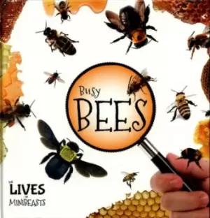 Image of Busy bees - Holly Duhig - Hardback - Used