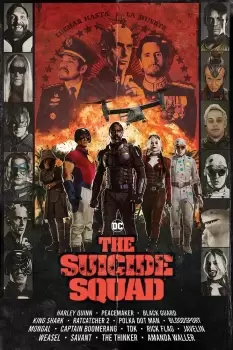 Image of The Suicide Squad Team Poster multicolour