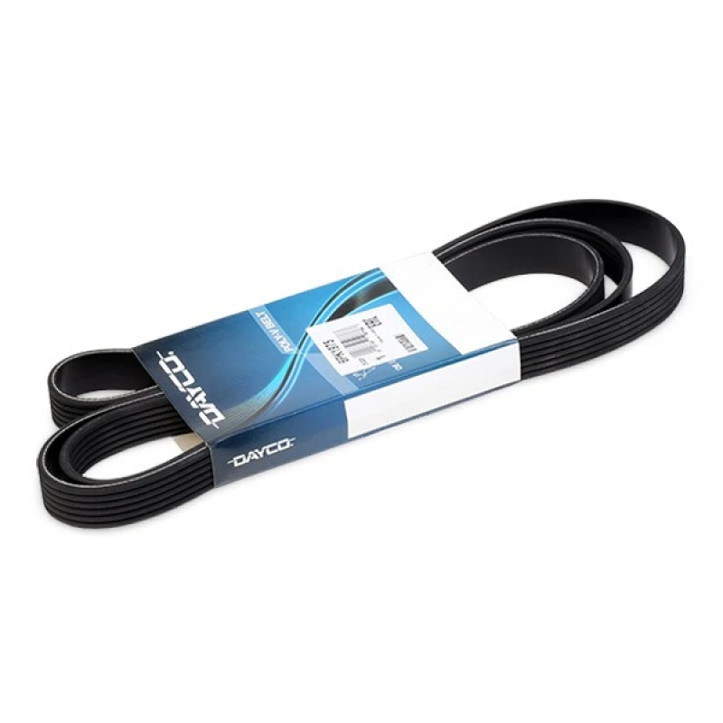 Image of DAYCO 6PK1975 V-ribbed belt V-Ribbed Belts (305)