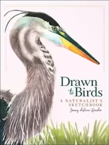 Image of Drawn to Birds : A Naturalist's Sketchbook