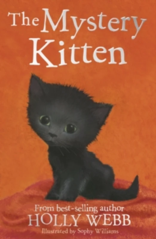 Image of Holly Webb The Mystery Kitten Book Multi unisex